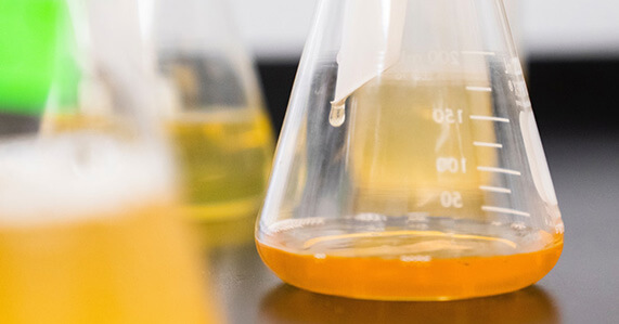 Sistemas APPCC calidad alimentaria - análisis de alimentos en laboratorio